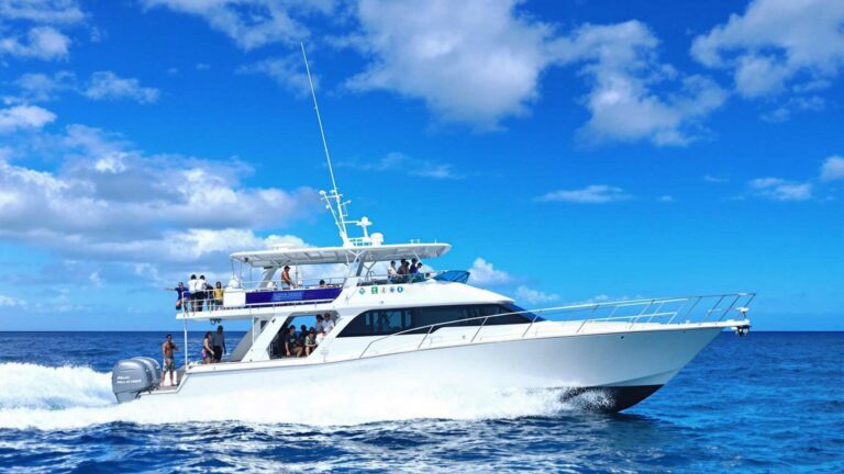 Kona’s Marine Tourism Industry: The Role of Boat Tours in Supporting Conservation Efforts